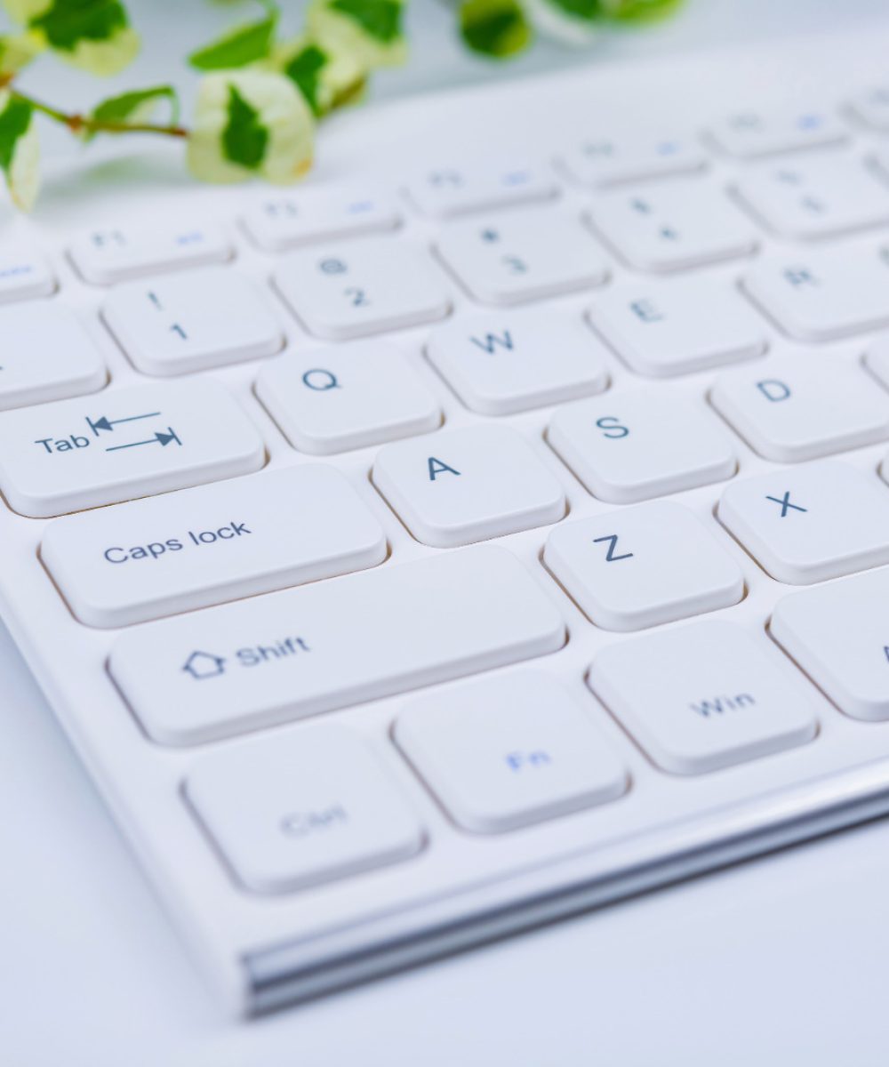 Eine klassische Tastatur eines Texters auf weißem Hintergrund, im Hintergrund eine Grünpflanze